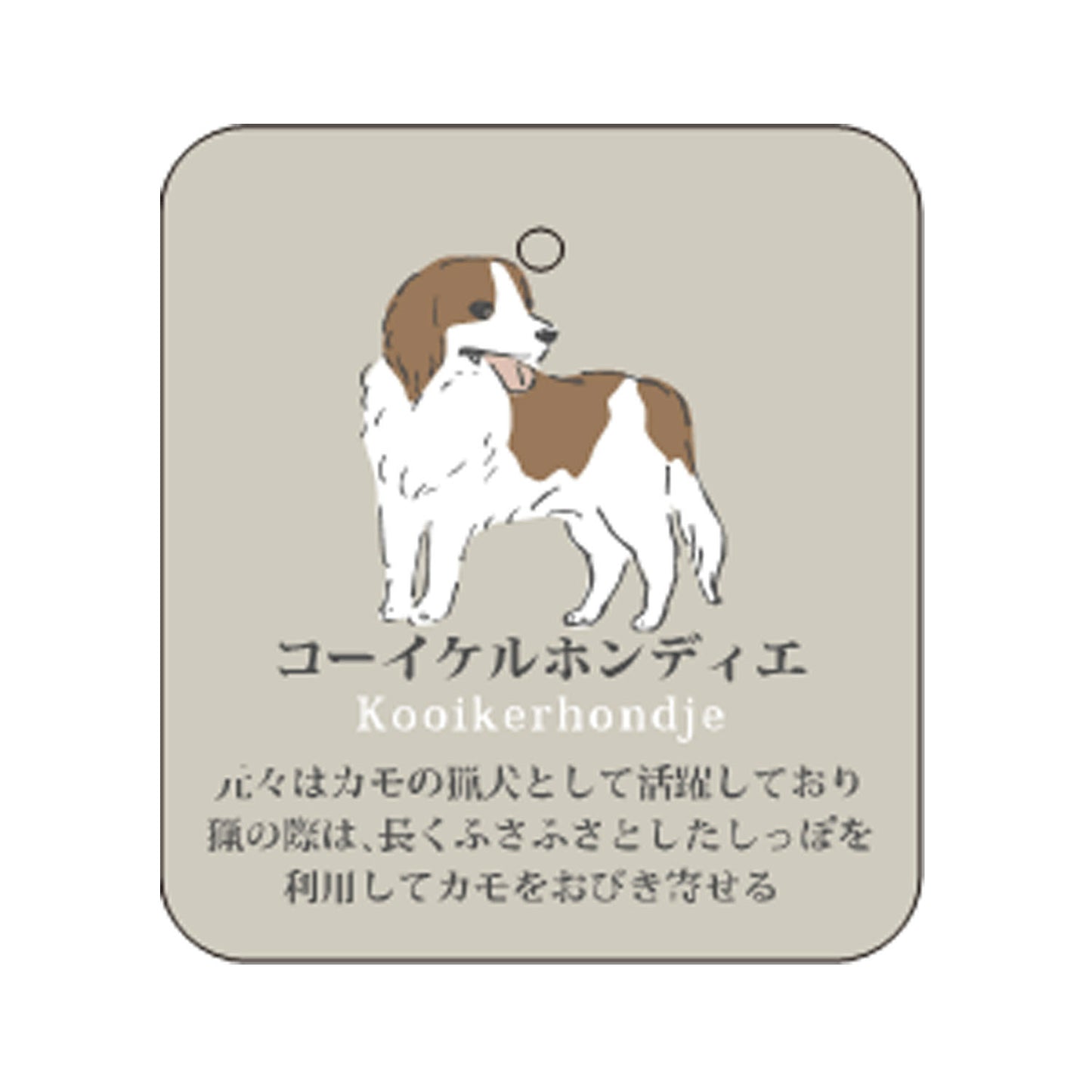 7/7 預購 | 動物系列 狗狗襪