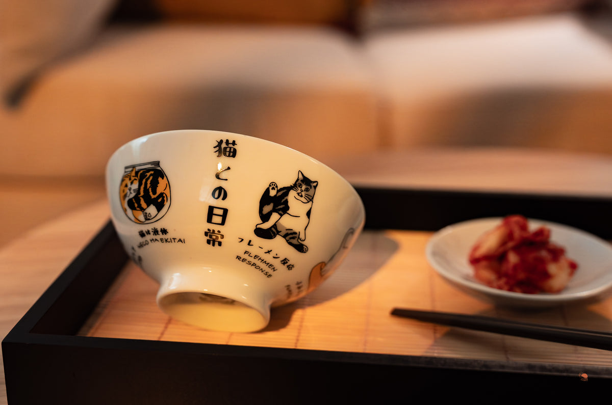 貓咪日常 陶瓷碗