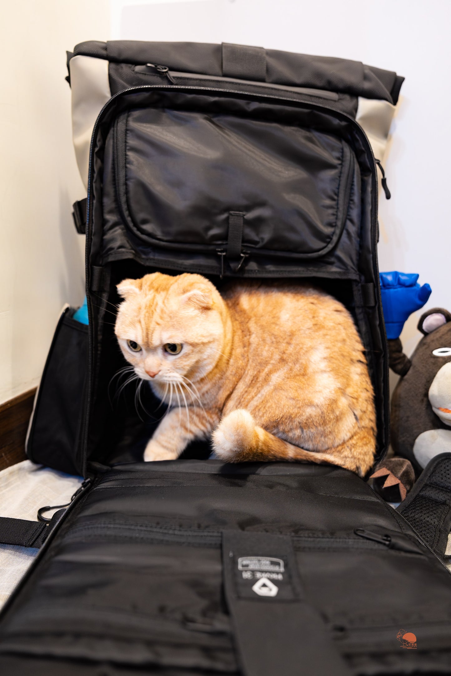 二手 WANDRD PRVKE 攝影套裝 31L 贈 Premium Accessory Straps 磁吸配件帶