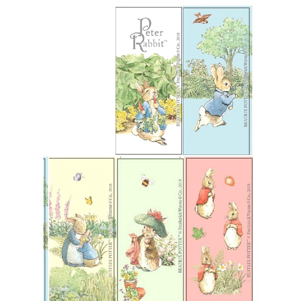 現貨|日本製 PETER RABBIT 彼得兔 食器|家用竹筷5入組