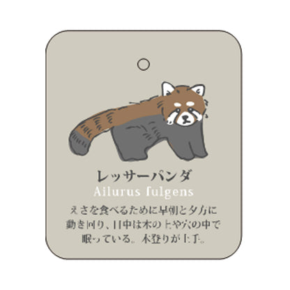 7/7 預購 | 動物系列 小貓熊襪