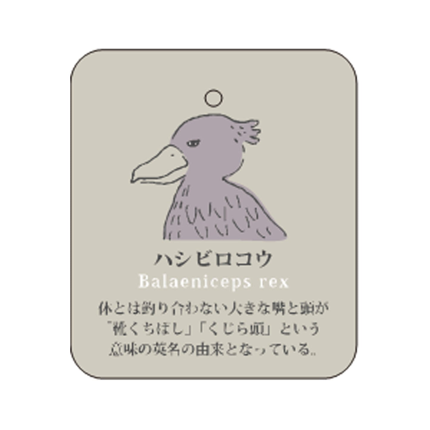 7/7 預購 | 動物系列 鯨頭鸛襪