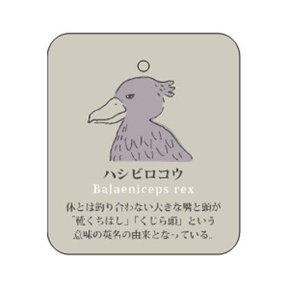 7/7 預購 | 動物系列 鯨頭鸛襪