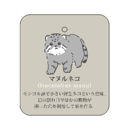 7/7 預購 | 動物系列 兔猻襪