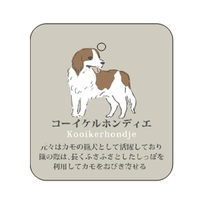 7/7 預購 | 動物系列 狗狗襪