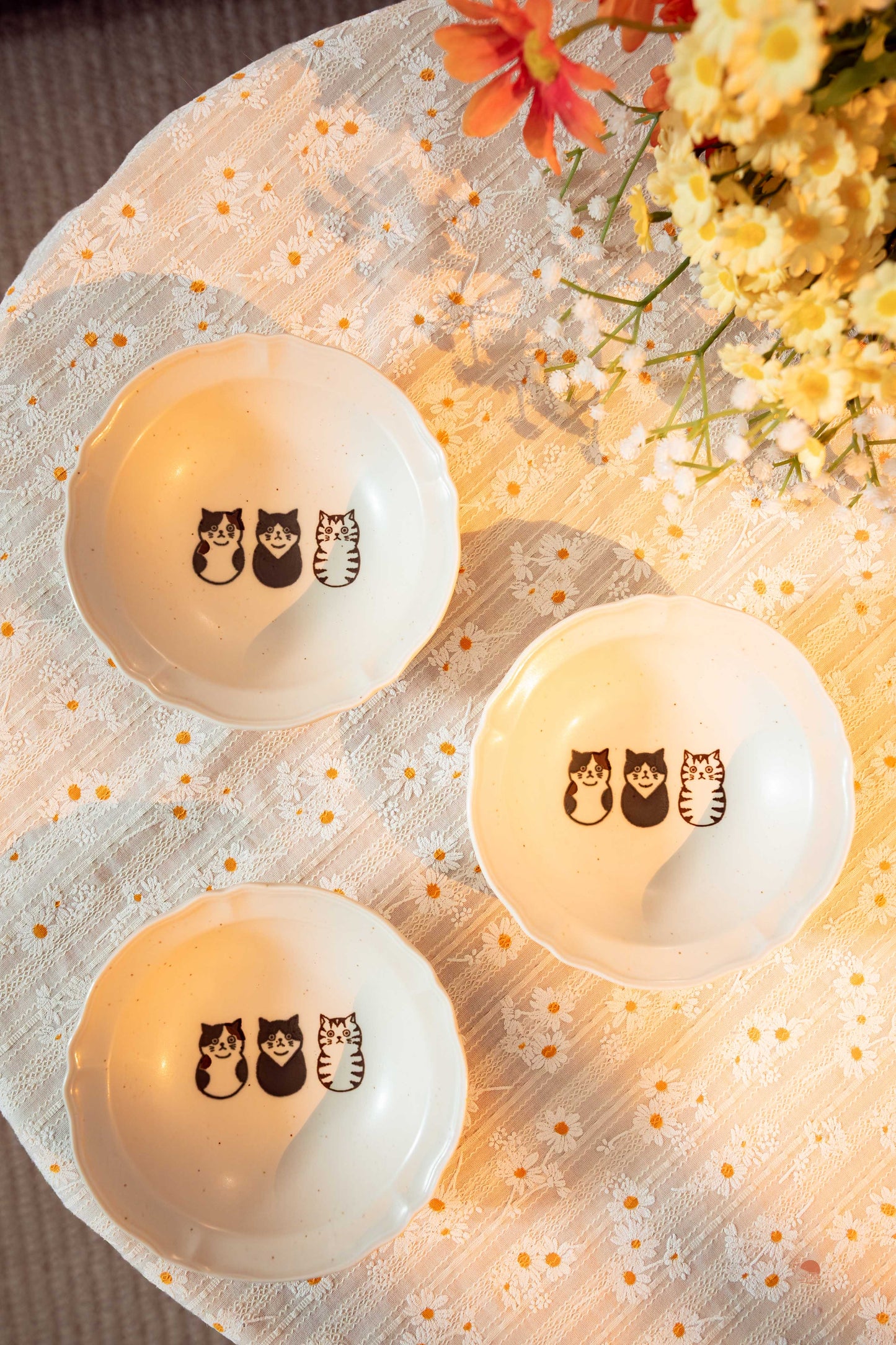 SHICHITA | 貓咪三兄弟盤組禮盒