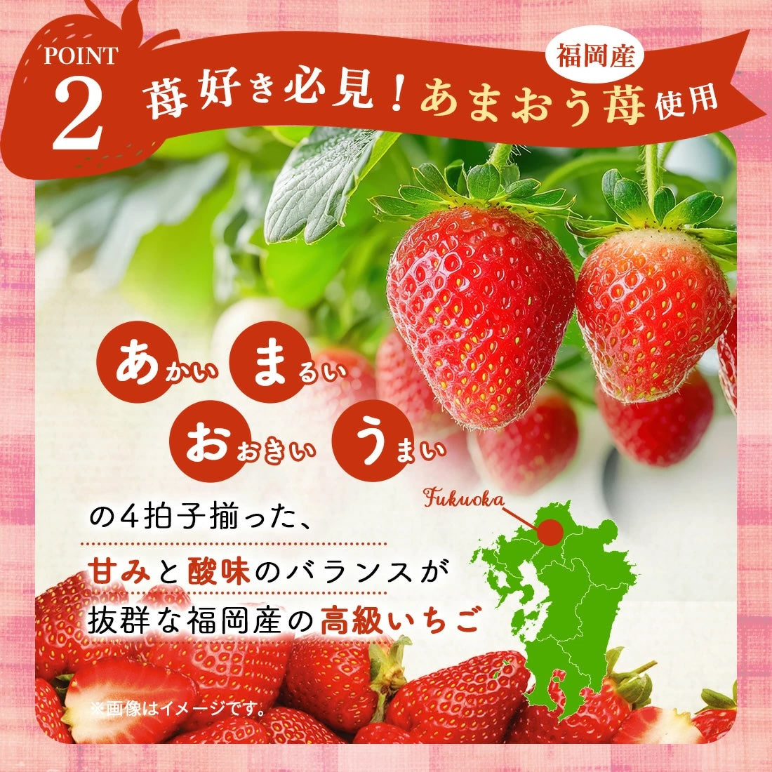 期間限定 | 甘王草莓夾心 10 入